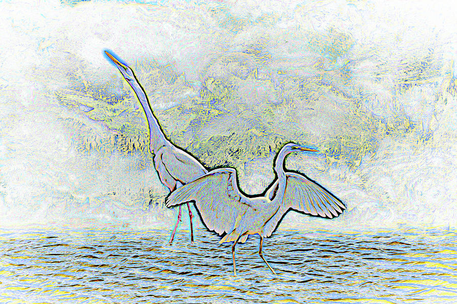 Two Egrets in Water I Glow Brilliant on White II Digital Art by Linda Brody