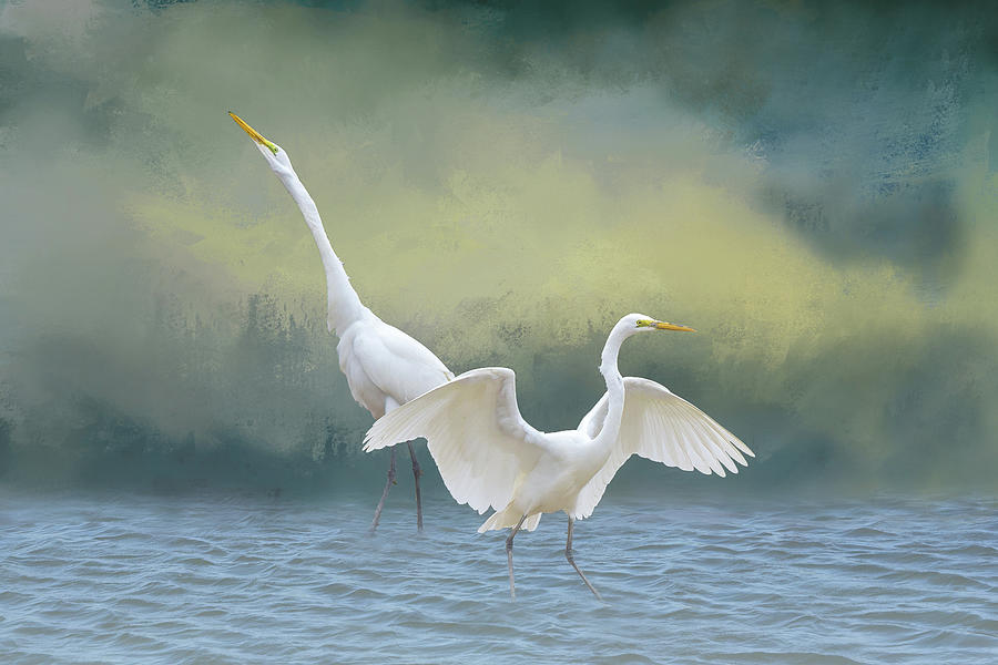 Two Egrets in Water I With Foreground Fog Digital Art by Linda Brody