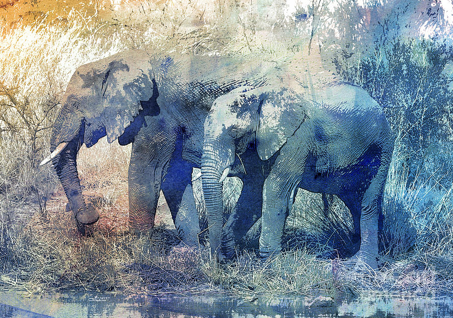 Two Elephants Digital Art by Jutta Maria Pusl