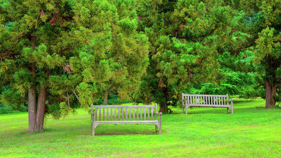 Two Empty Benches In Deep Cut Gardens Park Photograph by Gary Slawsky