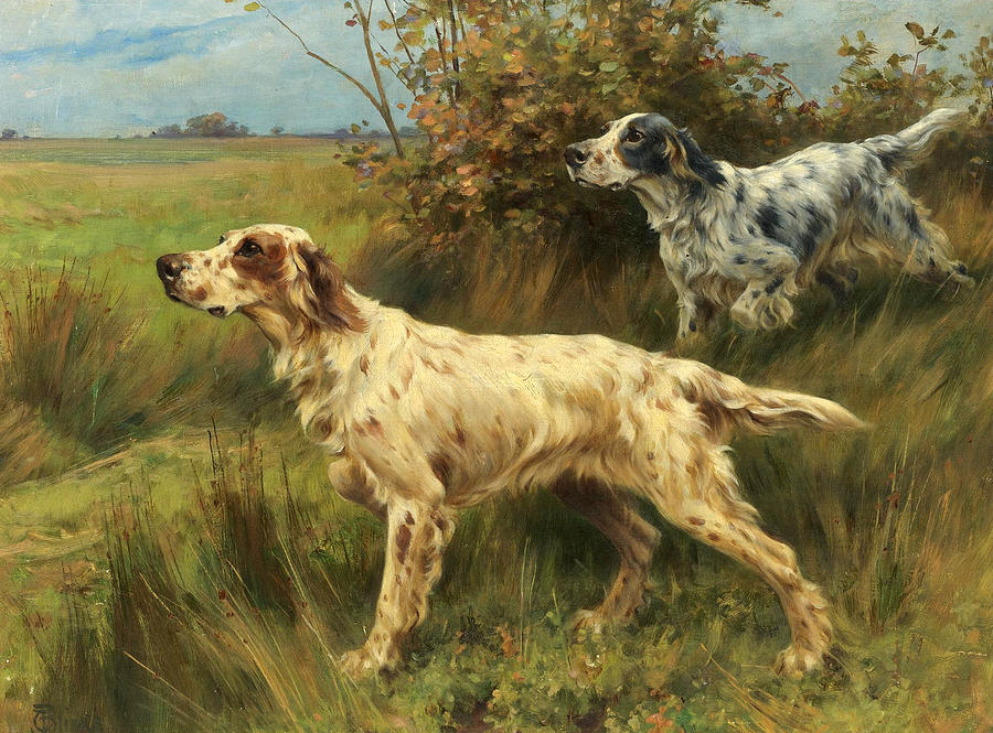 Two English Setters on Point Painting by Thomas Blinks