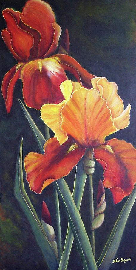 Two fiery Iris Painting by Silvia Philippsohn