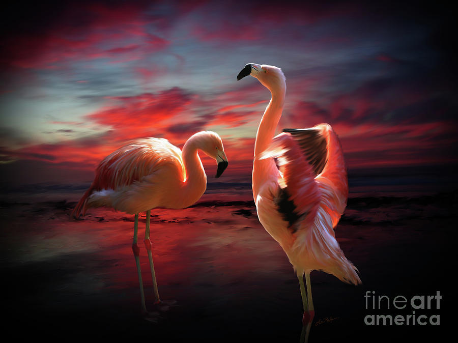Two Flamingos Digital Art by Lisa Redfern