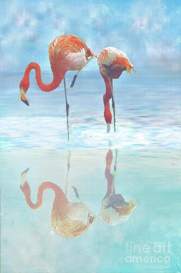 Two Flamingos Searching for Food Digital Art by Janette Boyd
