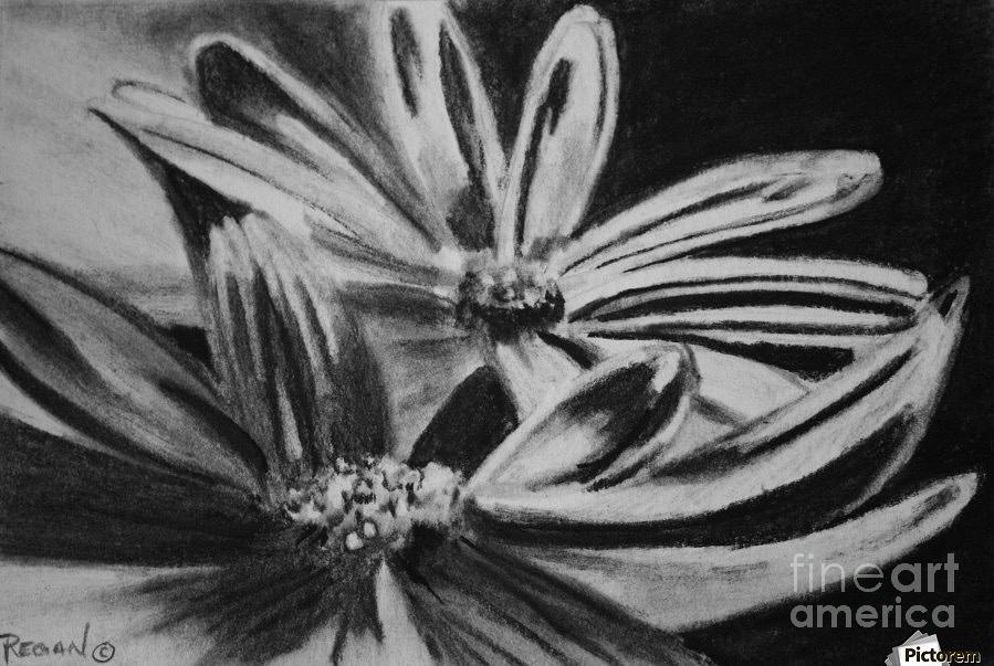 Flowers Drawing - Two Flowers by Regan J Smith Flowers Drawing - Two Flowers by Regan J Smith