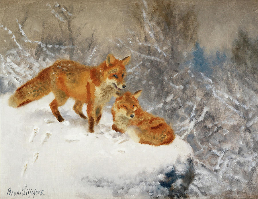 Two foxes in winter landscape Painting by Bruno Liljefors