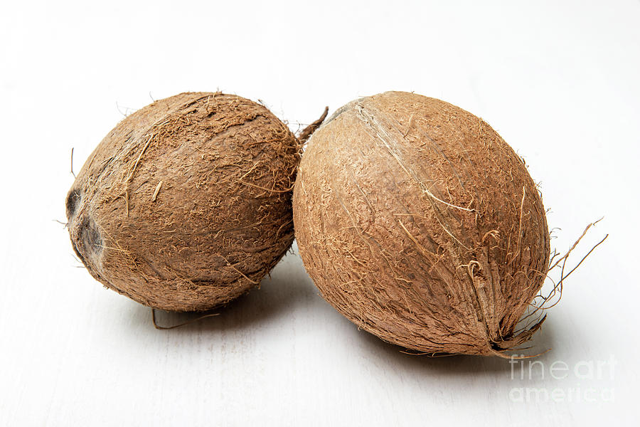 Two Fresh Coconuts On The Table Photograph By Piotr Marcinski Fine