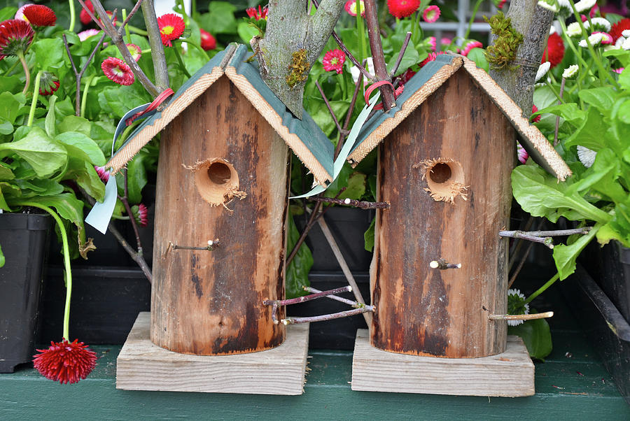 Flower Photograph - Two garden birdhouses by Ingrid Perlstrom