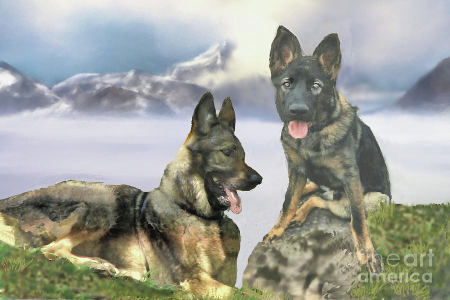 Two German Shepherds Photograph by Janette Boyd