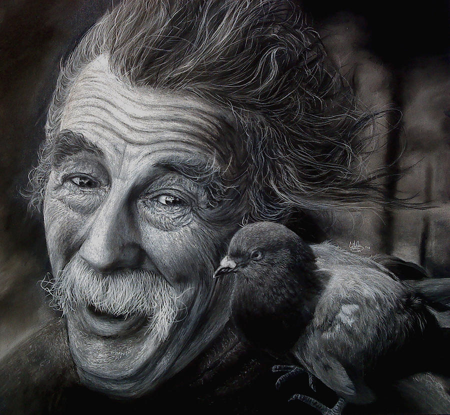 Pigeon Drawing - Two Good Friends by Callie Fink