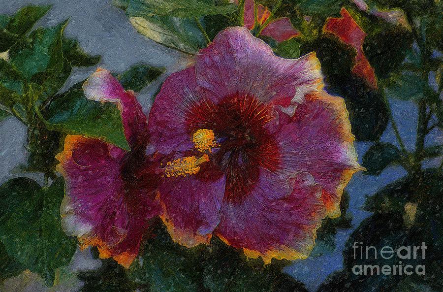 Two Grand Passion Hibiscus Photograph by John  Kolenberg