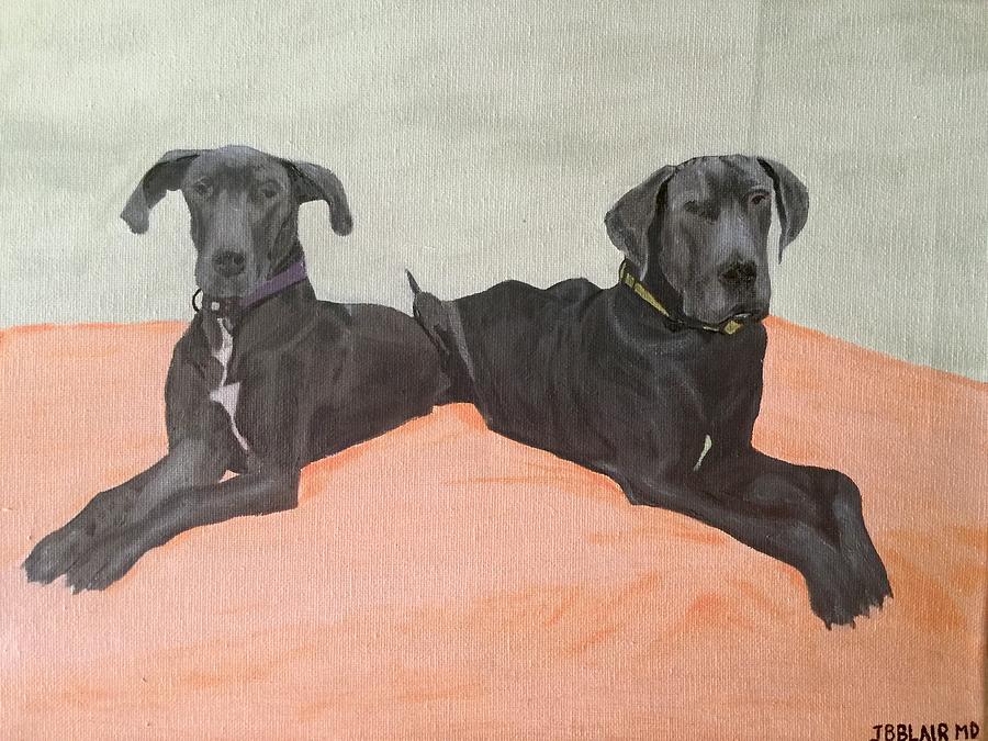 Two best sale great danes