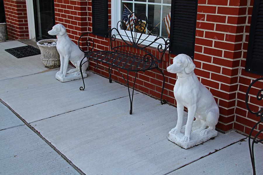 Two Guard Dogs Photograph by Michiale Schneider
