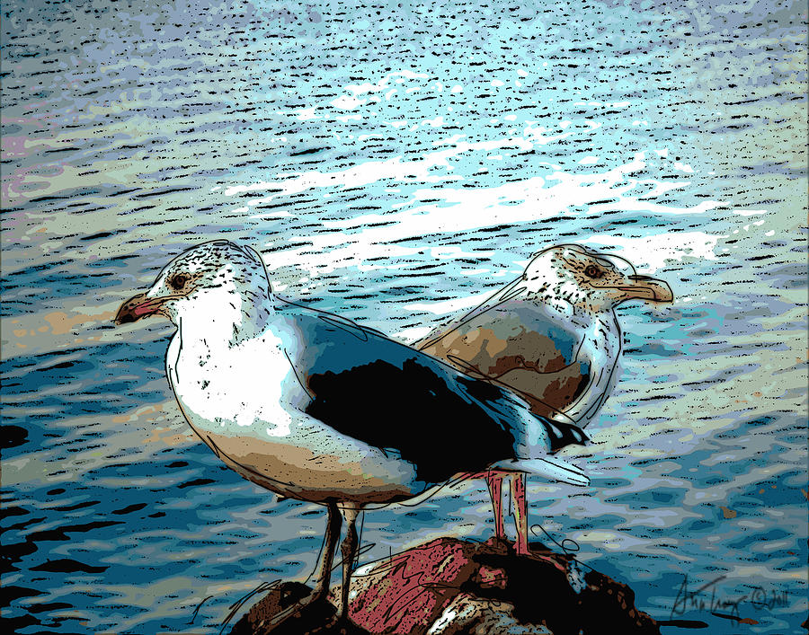 Two Gulls Photograph by Ann Tracy