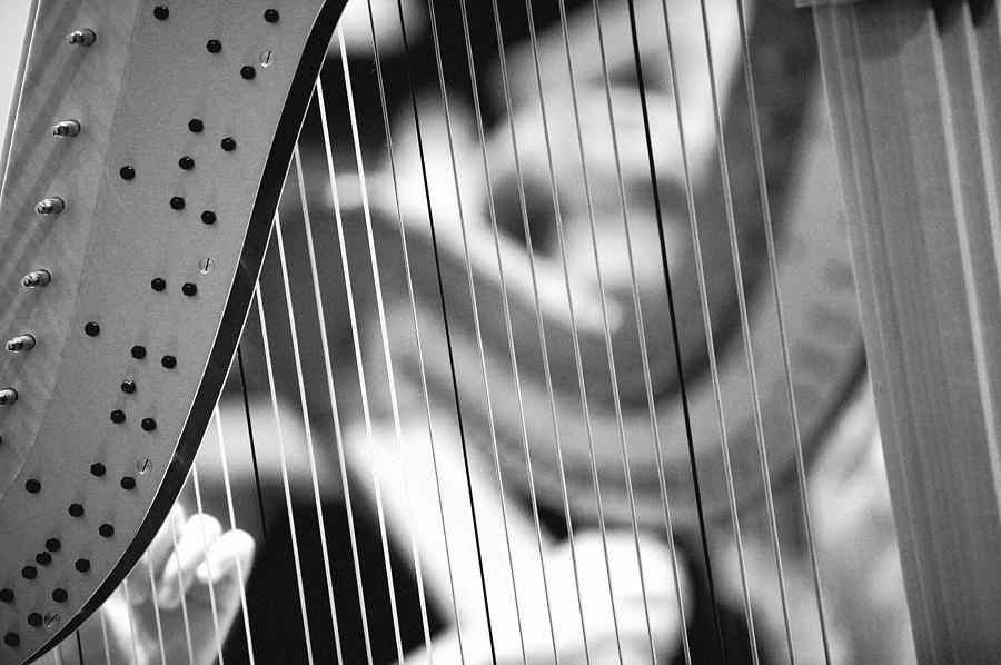 Music Photograph - Two Harps by Mark Wagoner
