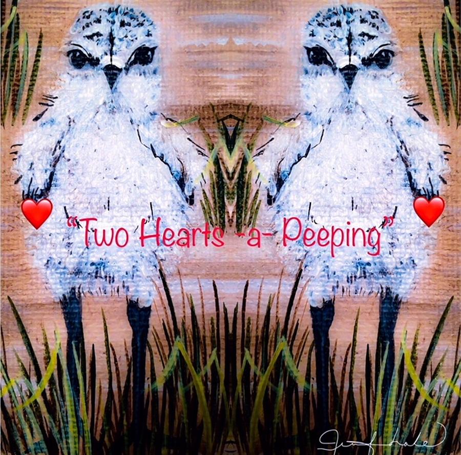 Two Hearts Peeping Painting by Jennifer Lake