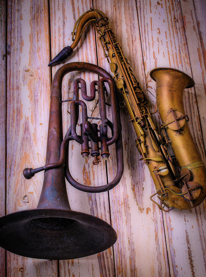 Music Photograph - Two Horns by Garry Gay
