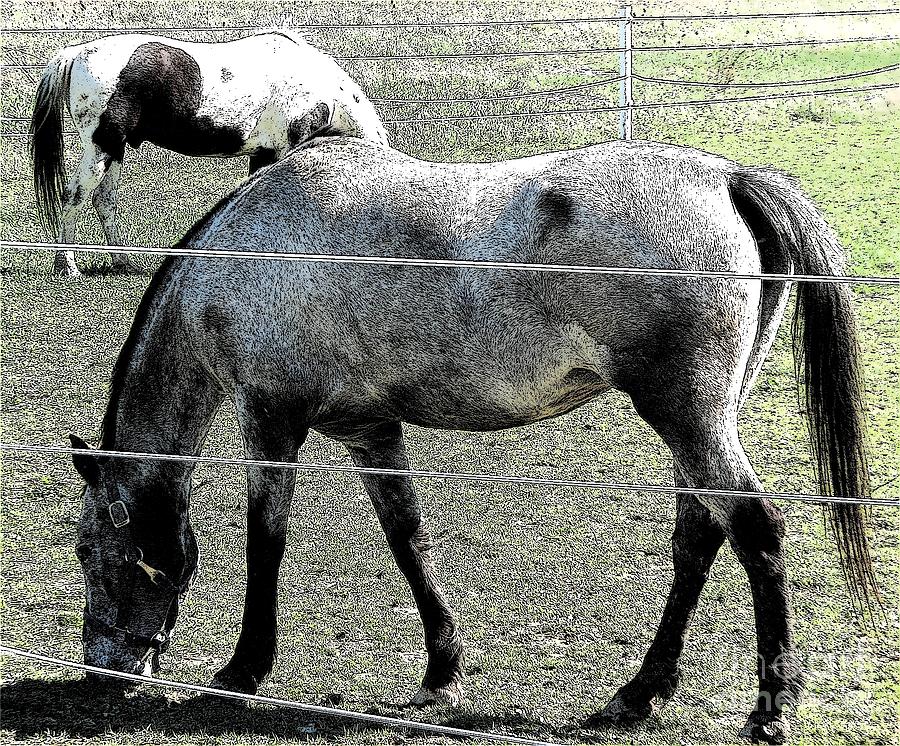 Two Horses Grazing Ink Sketch Effect Photograph by Rose Santuci-Sofranko
