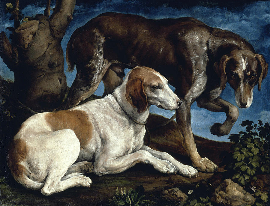Jacopo Bassano Painting - Two Hounds by Jacopo Bassano