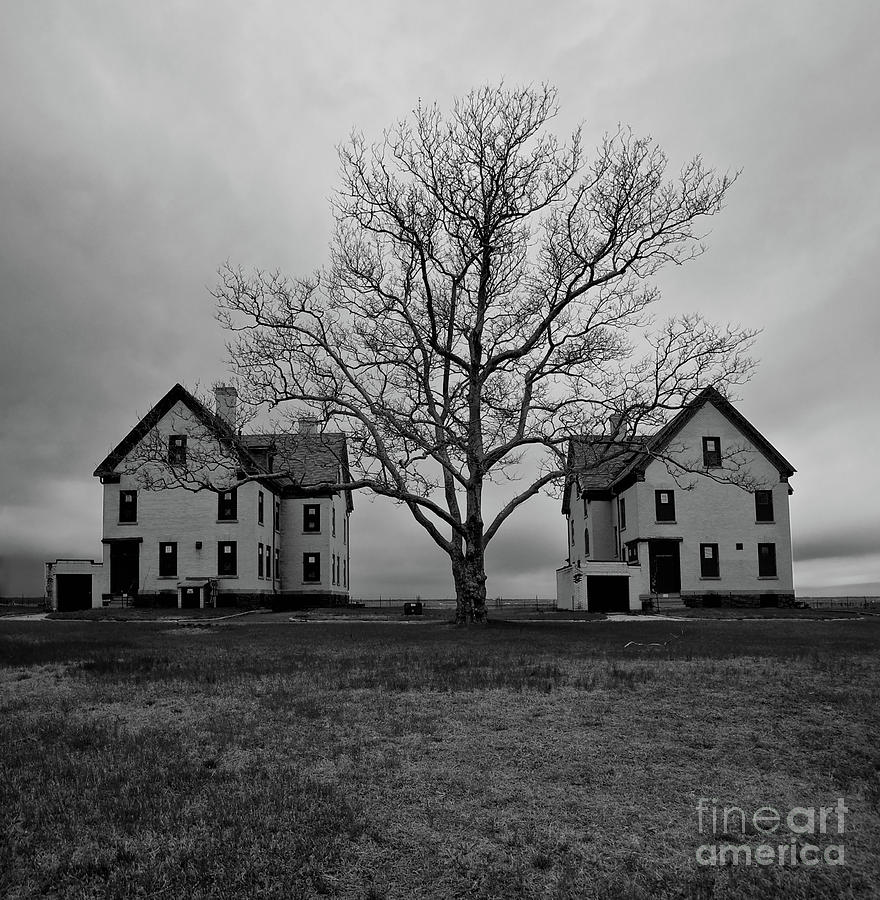Two Houses and a Tree Photograph by Mark Miller