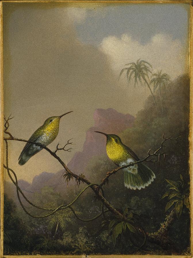Two Humming Birds Painting by Martin Johnson Heade