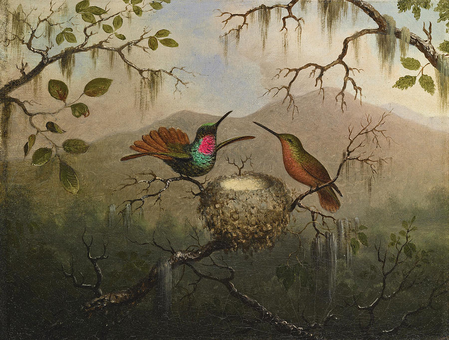Two Hummingbirds at a Nest Painting by Martin Johnson Heade