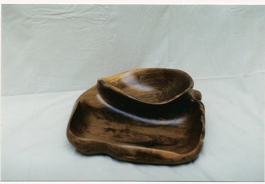 Nature Sculpture - Two in one bowl by Lionel Larkin