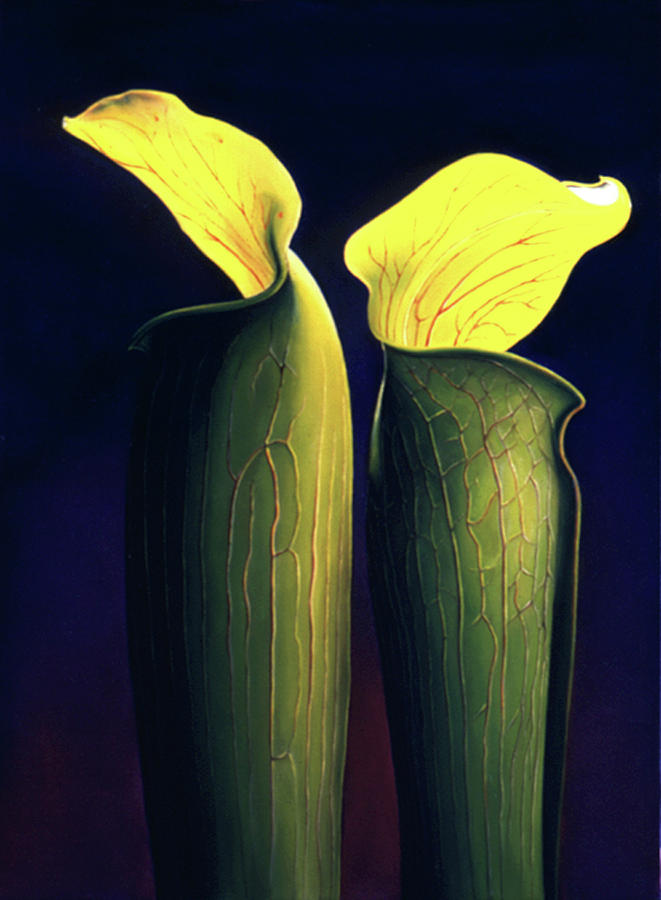 Flower Painting - Two Jacks by Anni Adkins