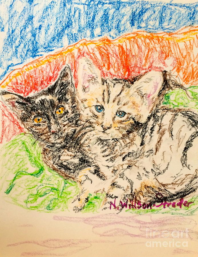 Cat Drawing - Two Kittens by N Willson-Strader