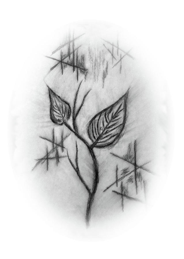 Two Leaves Drawing