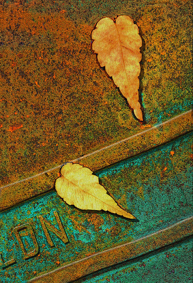 Abstract Photograph - Two Leaves or Not Two Leaves by Paul Wear