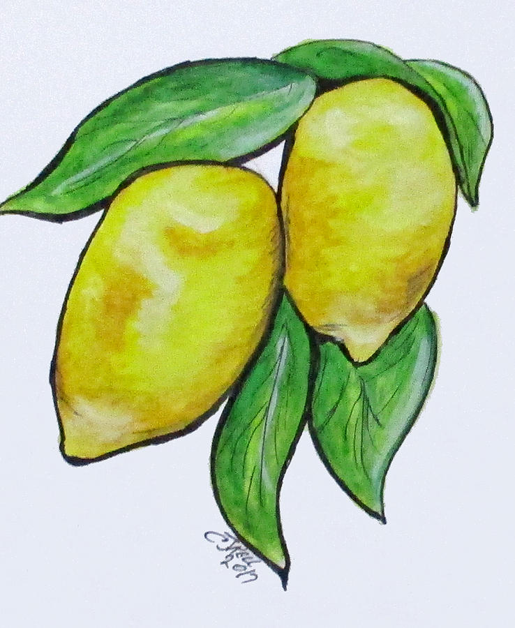 Two Lemons Painting by Clyde J Kell | Fine Art America
