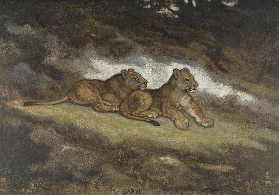 Two Lion Cubs Drawing by Antoine-Louis Barye