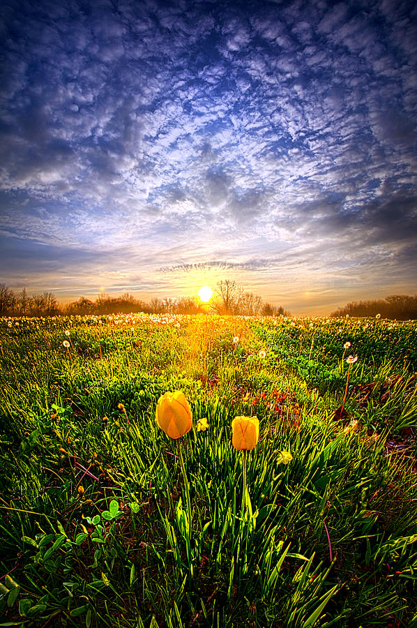 Two Lips that Touch at Dawn Photograph by Phil Koch