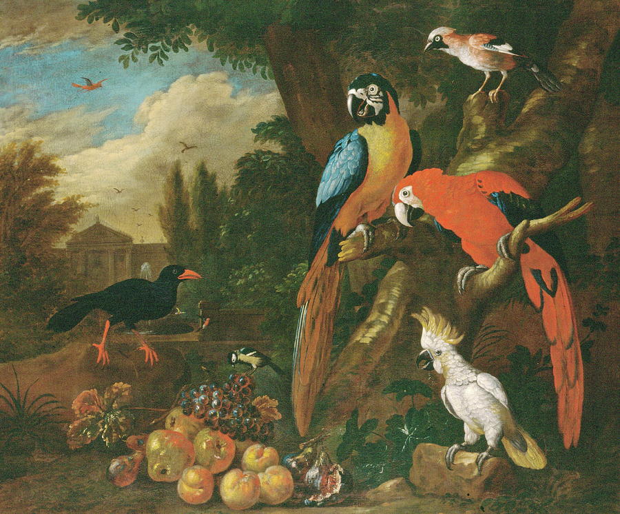 Two Macaws a Cockatoo and a Jay with Fruit Painting by Jakob Bogdani ...