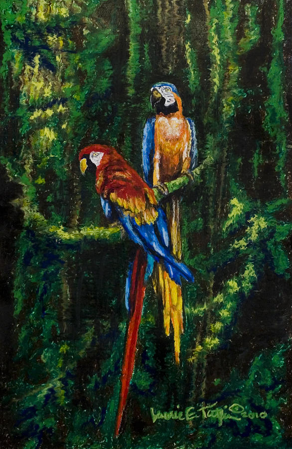 Two Macaws in the Rain Forest Pastel by Laurie Tietjen