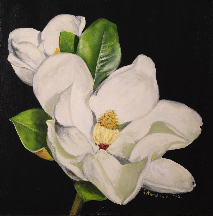 Two Magnolias Painting by Sandra Nardone