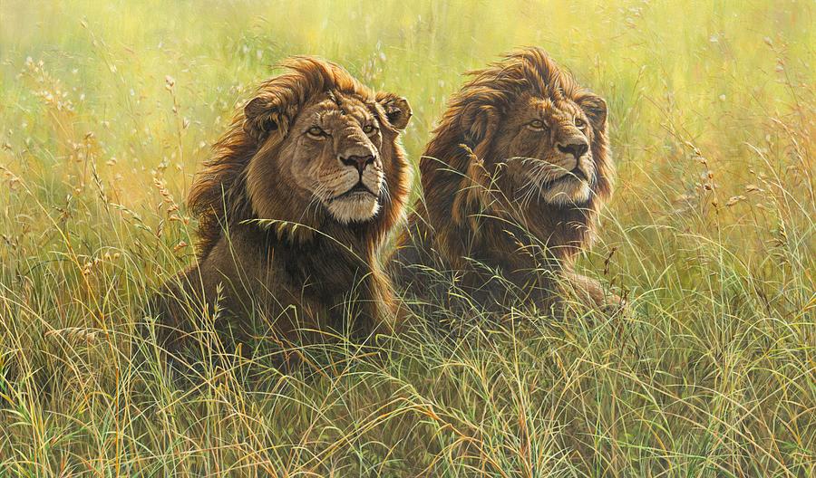 Two Male Lions Painting by Alan M Hunt