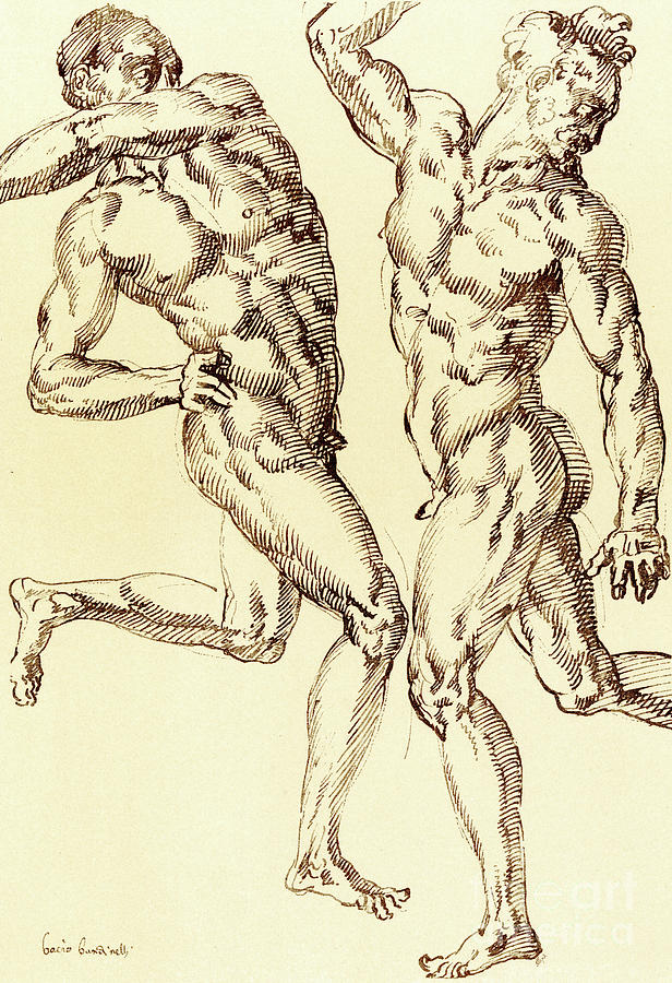 Nude Drawing - Two male nude studies by Baccio Bandinelli