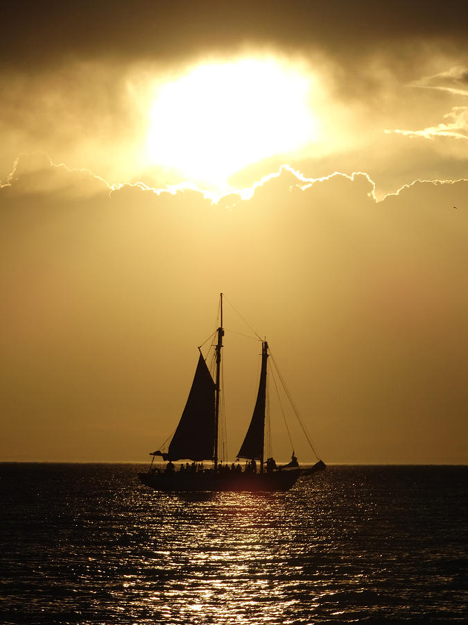 Two-Master Sunset Sail Photograph by David T Wilkinson