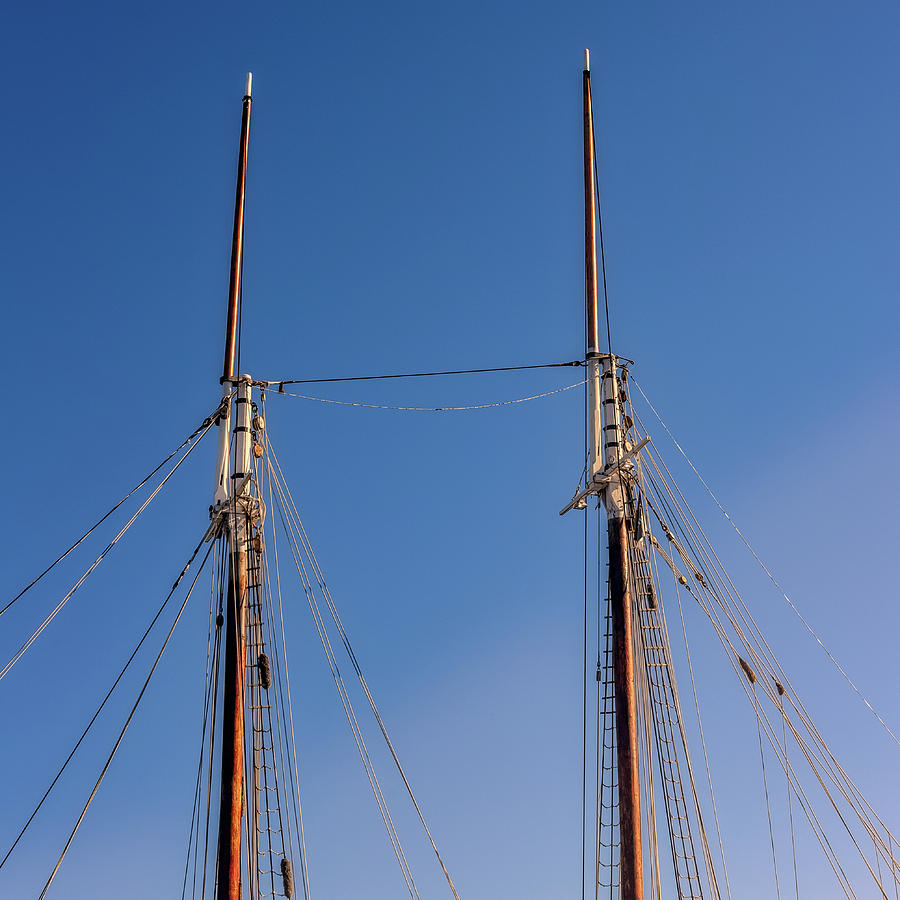 Two Masts Photograph by Guy Whiteley