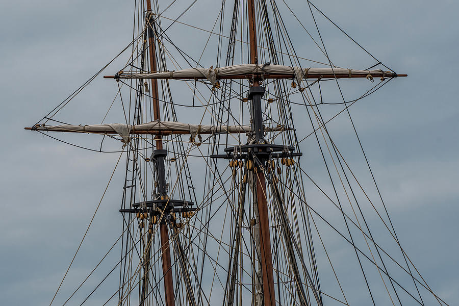 Two masts Photograph by Paul Freidlund