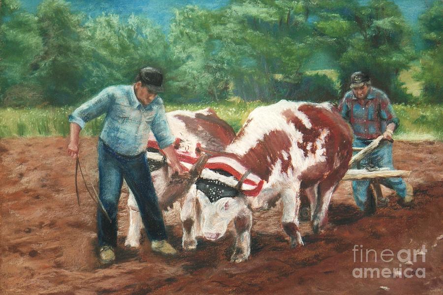 Two Men And Oxen Pastel by Lisa Pope