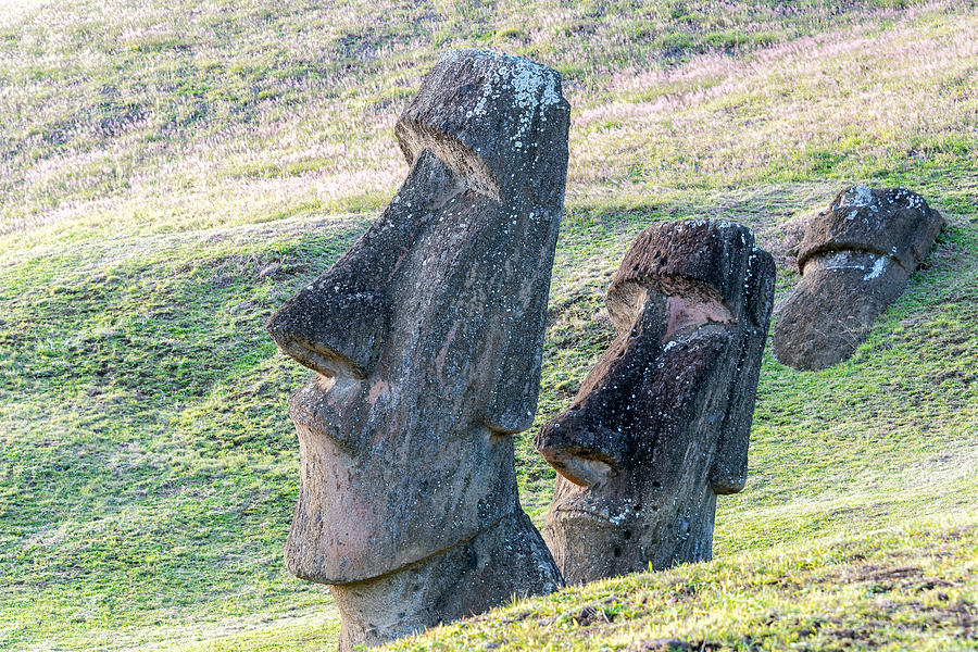 Two Moai Statues Photograph
