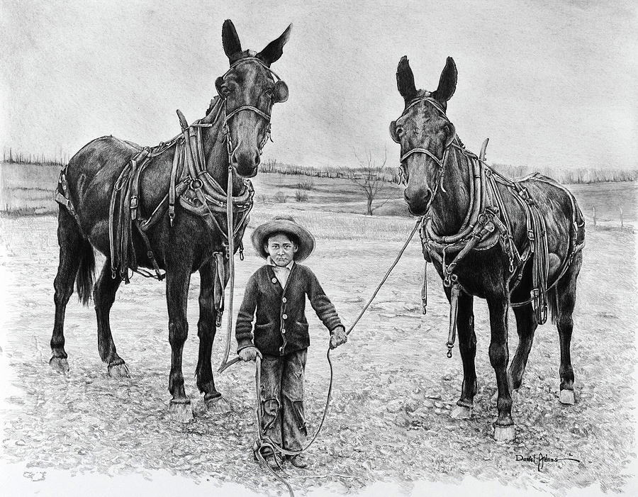 Old West Drawing - Two Mules for Daddy by Daniel Adams