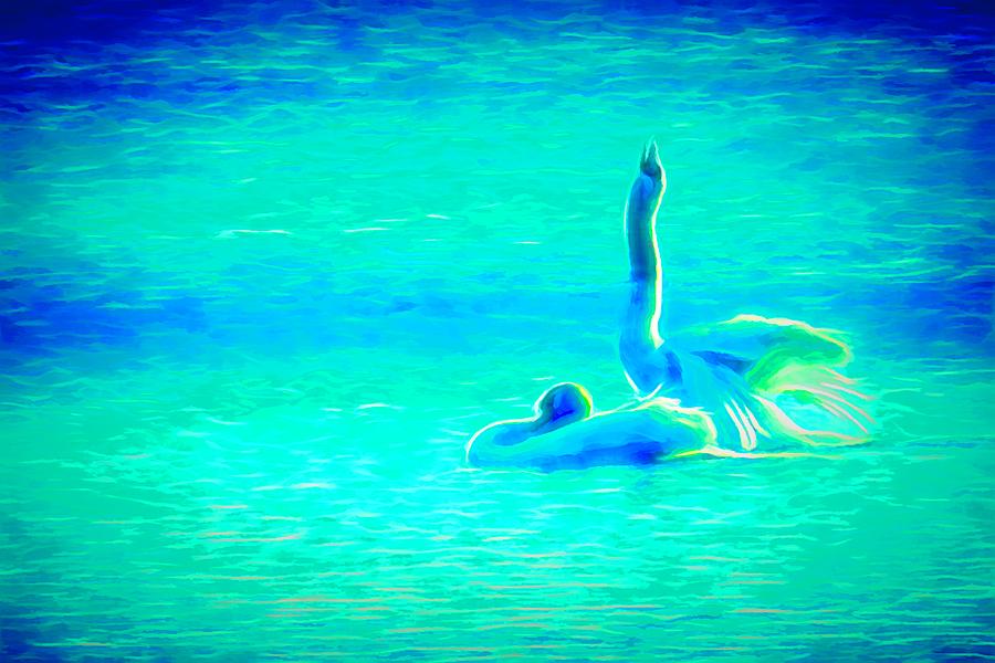 Cygnus Olor Digital Art - Two mute swans mating ritual by Rusty R Smith