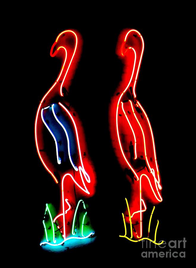 Two Neon Flamingos Photograph by Tim Townsend