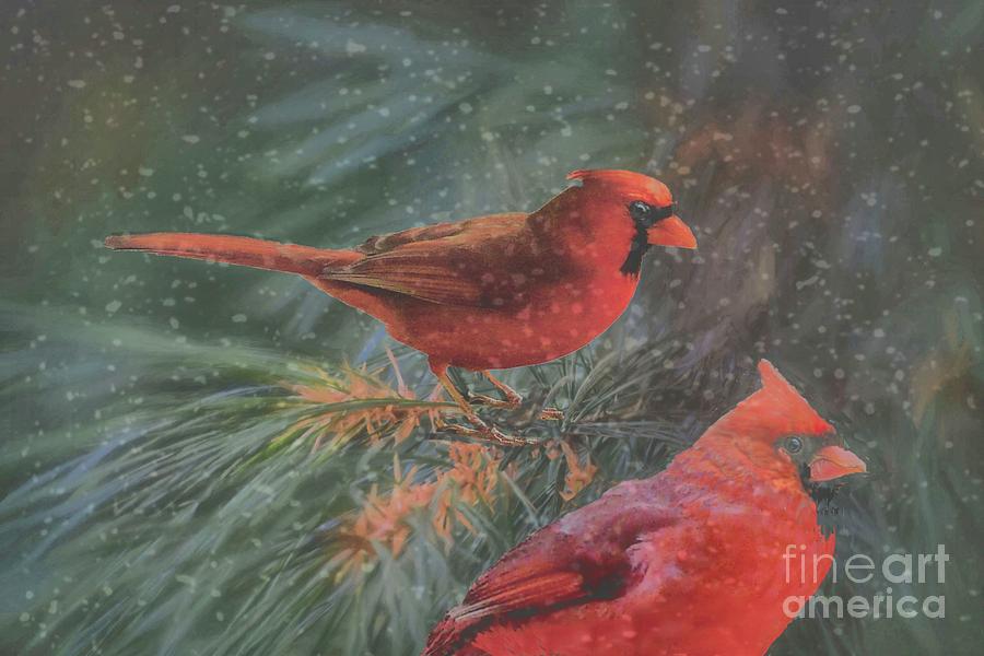 Two Northern Cardinals in Snowstorm Photograph by Janette Boyd