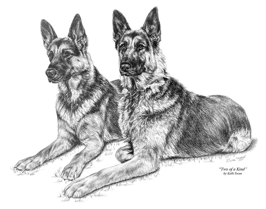 Two of a Kind - German Shepherd Dogs Print Drawing by Kelli Swan