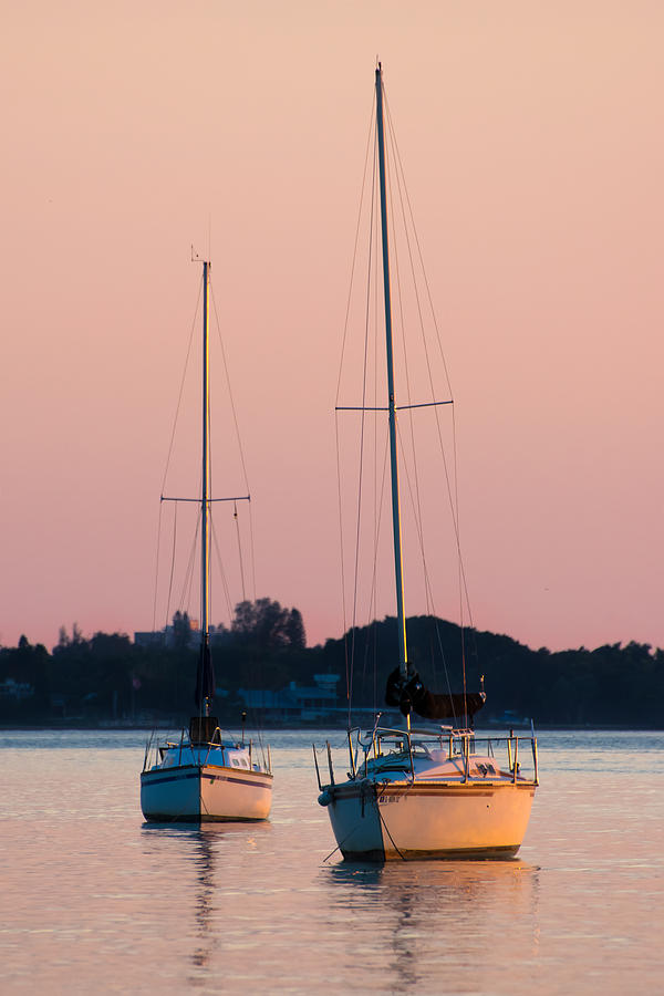 Two Of A Kind Sailboats Photograph